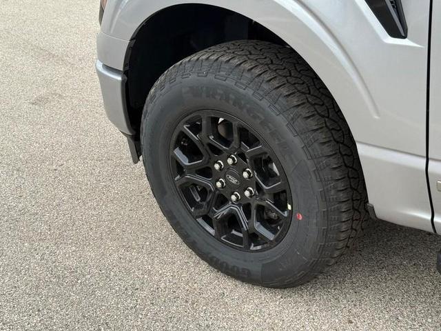 Photo of 2025 Iconic Silver Metallic Ford F-150