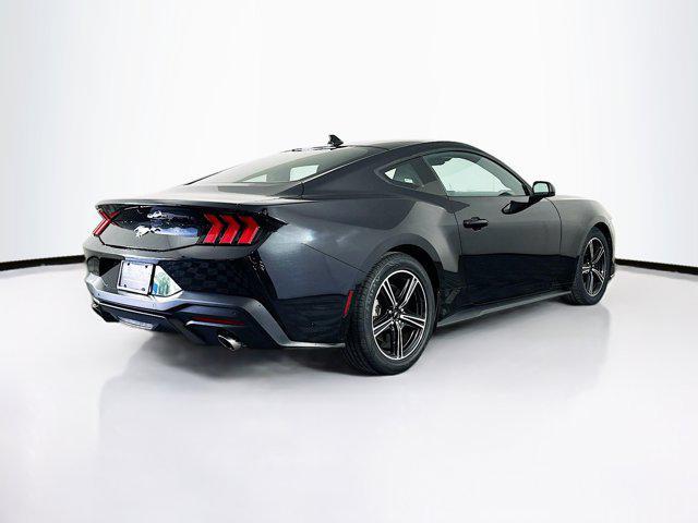 Photo of 2024 Shadow Black Ford Mustang