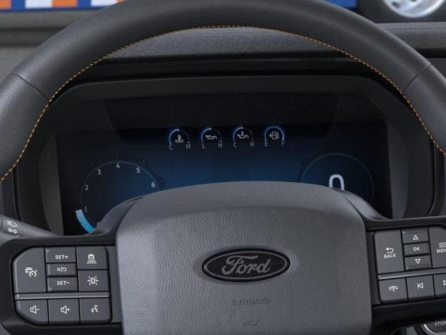 Photo of 2025 Black Ford F-150
