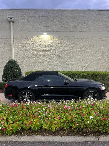 Photo of 2017 Shadow Black Ford Mustang