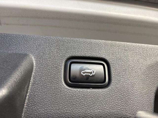 Photo of 2023 Wolf Gray Kia Sportage