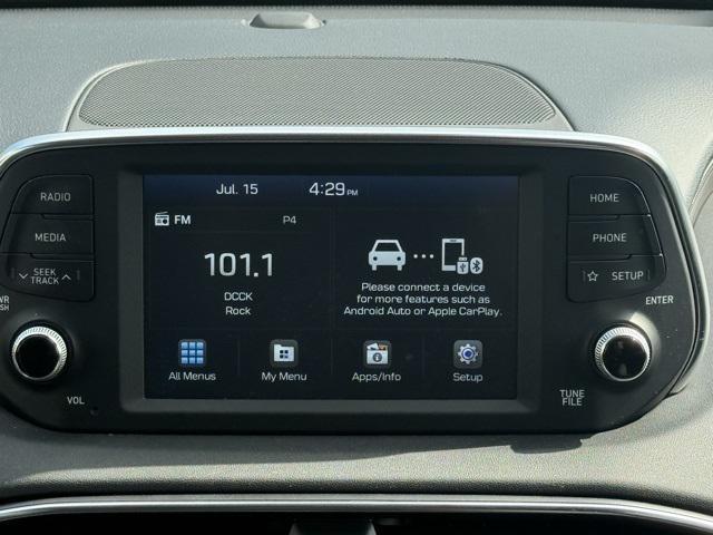 Photo of 2020 Rainforest Hyundai SANTA FE