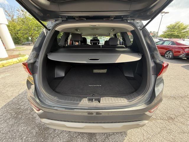 Photo of 2020 Rainforest Hyundai SANTA FE