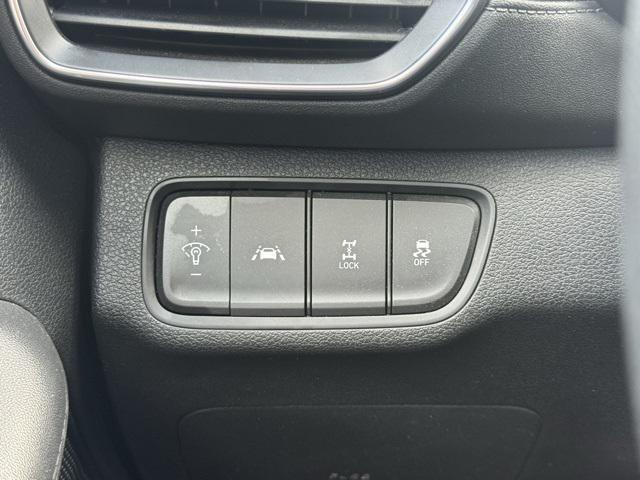 Photo of 2020 Rainforest Hyundai SANTA FE