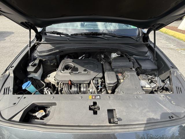 Photo of 2020 Rainforest Hyundai SANTA FE