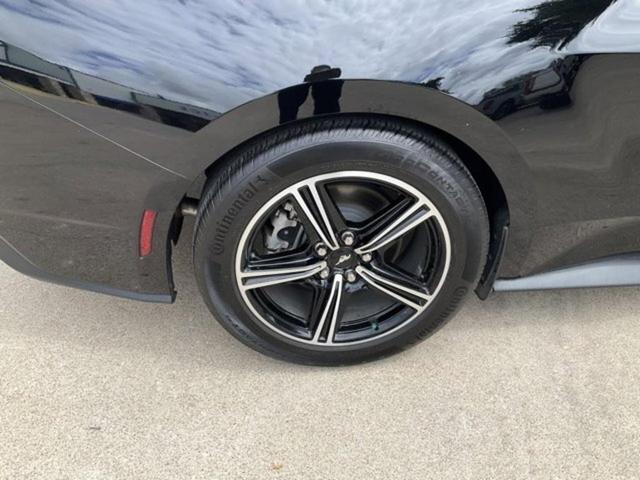 Photo of 2024 Shadow Black Ford Mustang