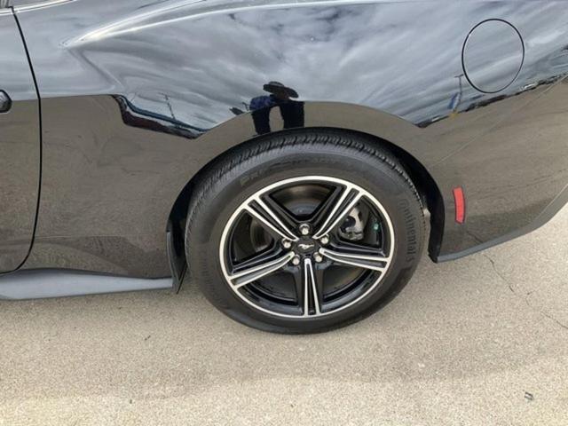 Photo of 2024 Shadow Black Ford Mustang