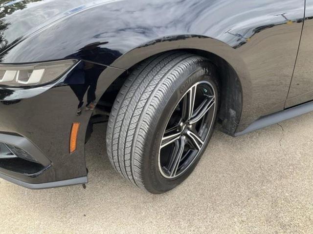 Photo of 2024 Shadow Black Ford Mustang