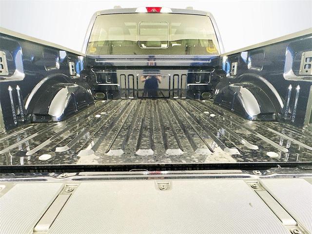 Photo of 2025 Blue Ford F-150 Lightning