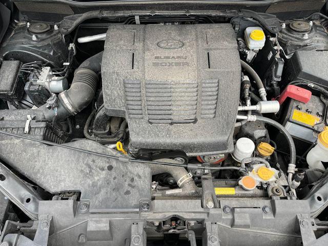 Photo of 2023 Crystal Black Silica Subaru Forester