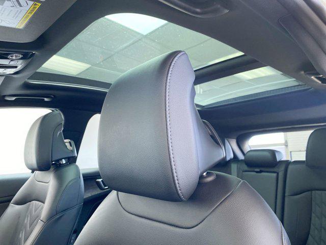 Photo of 2025 Jungle Green Kia Sportage