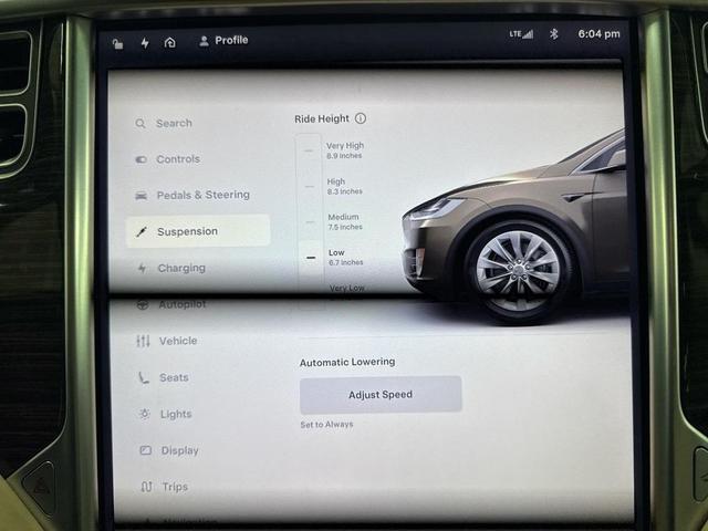 Photo of 2016 Bronze Tesla Model X