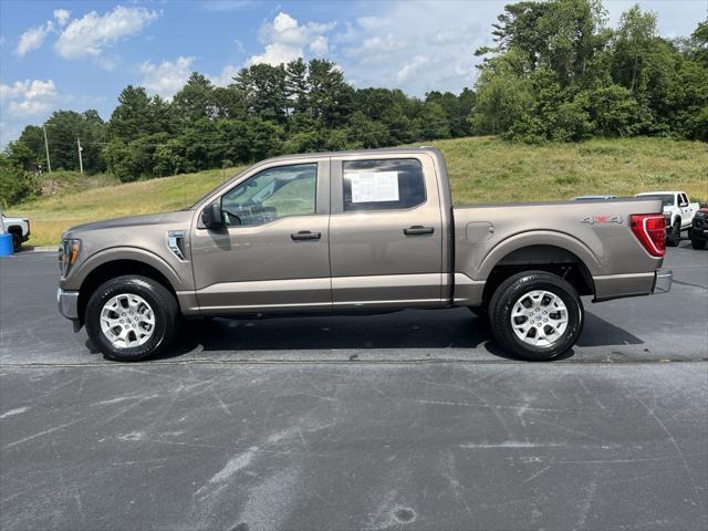 Photo of 2023 Stone Gray Metallic Ford F-150