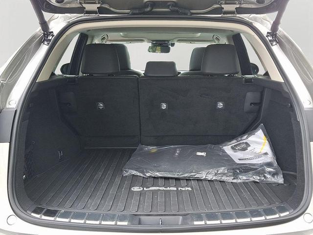 Photo of 2025 Atomic Silver Lexus NX 350