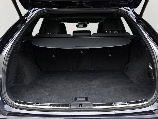 Photo of 2024 Nightfall Mica Lexus RX 350
