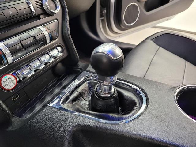 Photo of 2015 Ingot Silver Ford Mustang