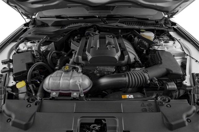 Photo of 2018 Shadow Black Ford Mustang