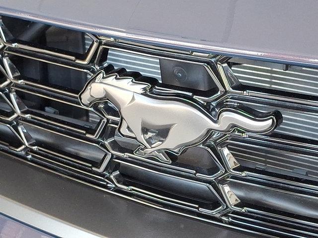 Photo of 2024 Blue Ford Mustang