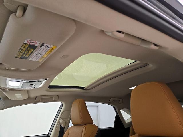 Photo of 2019 Black Lexus NX 300