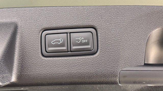 Photo of 2024 Jungle Green Kia Telluride