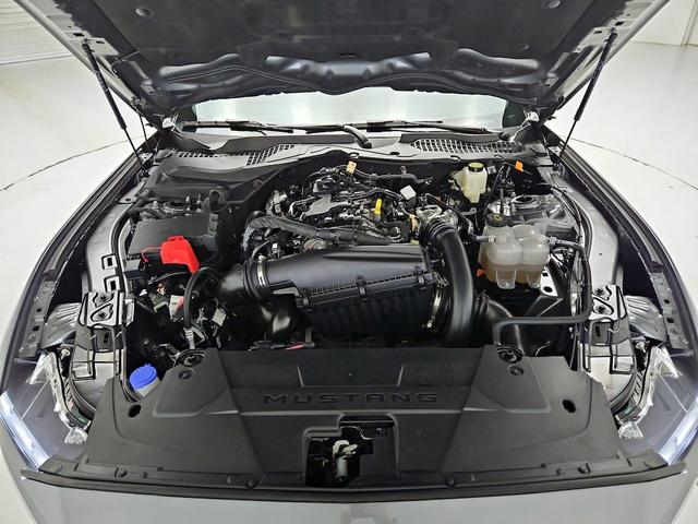 Photo of 2025 Gray Ford Mustang