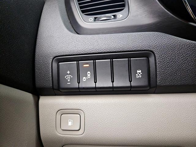 Photo of 2019 Blue Kia Sedona