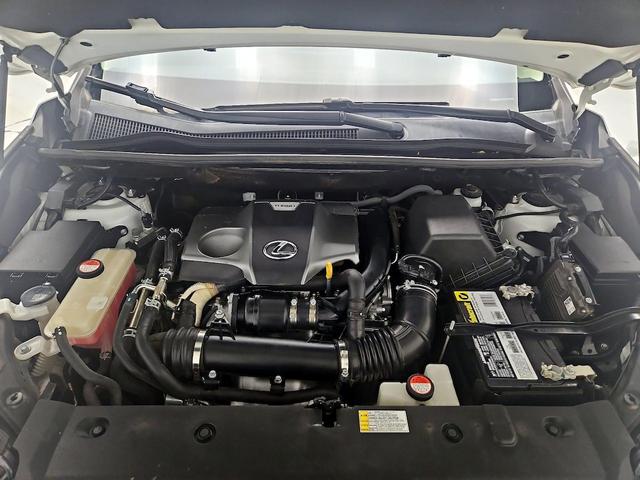 Photo of 2016 Pearl Lexus NX 200t