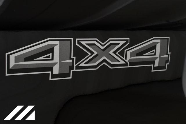 Photo of 2025 Black Metallic Ford F-150