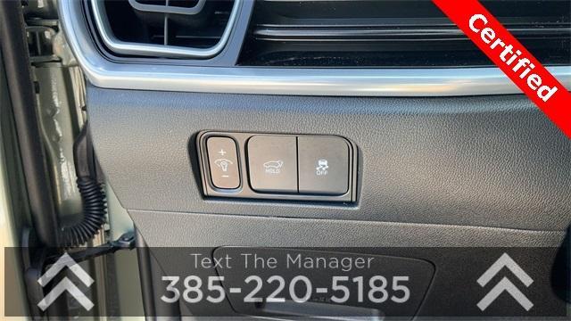Photo of 2024 Jungle Green Kia Sorento