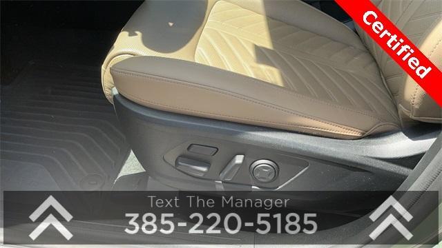 Photo of 2024 Jungle Green Kia Sorento