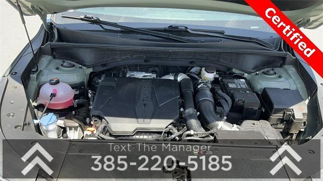 Photo of 2024 Jungle Green Kia Sorento