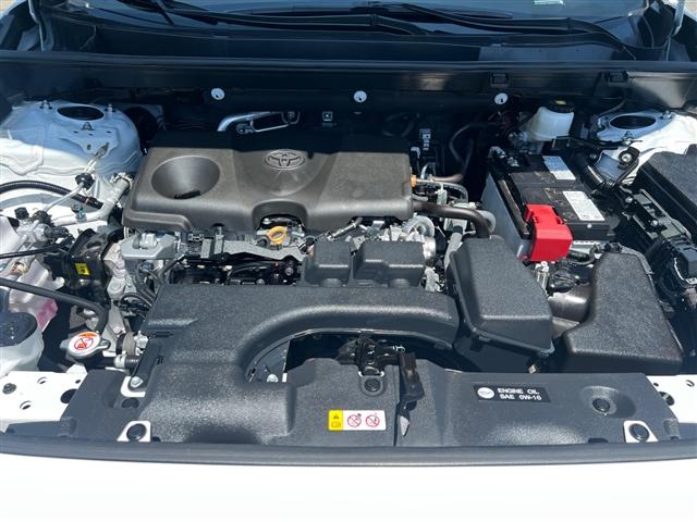Photo of 2024 Ice Cap Toyota RAV4