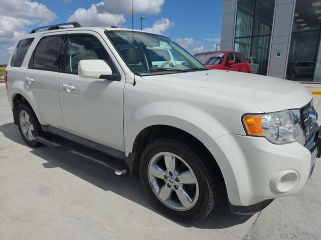Photo of 2009 White Suede Clearcoat Ford Escape