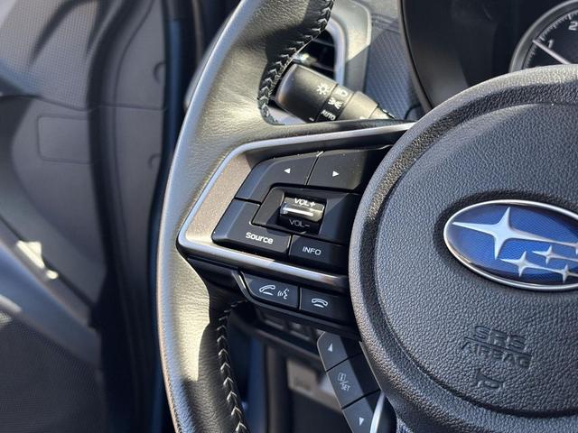 Photo of 2024 Horizon Blue Pearl Subaru Forester