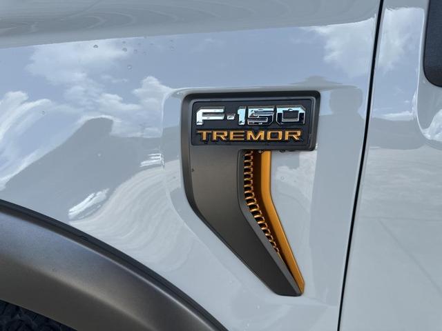 Photo of 2023 Avalanche Gray Ford F-150