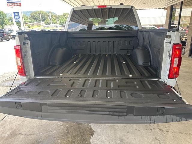 Photo of 2023 Avalanche Gray Ford F-150