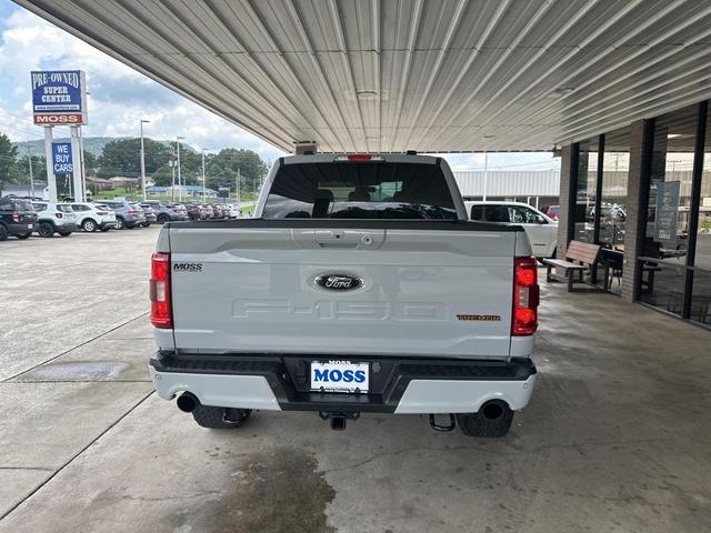 Photo of 2023 Avalanche Gray Ford F-150