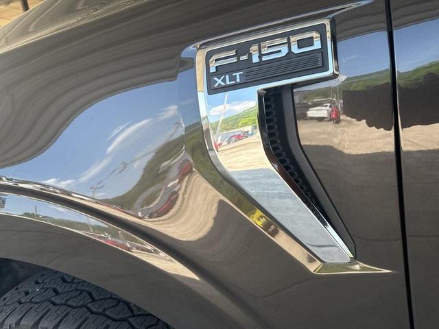 Photo of 2024 Bronze Metallic Ford F-150
