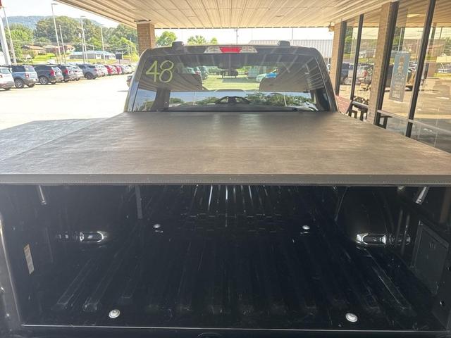 Photo of 2024 Bronze Metallic Ford F-150