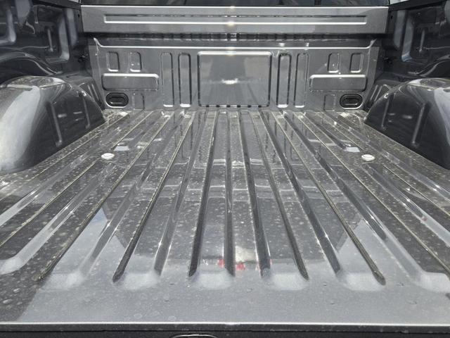 Photo of 2025 Carbonized Gray Metallic Ford F-150