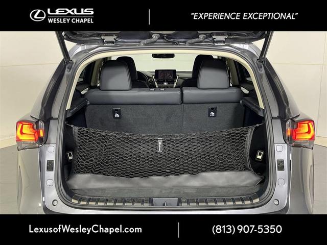 Photo of 2020 Gray Pearl Lexus NX 300