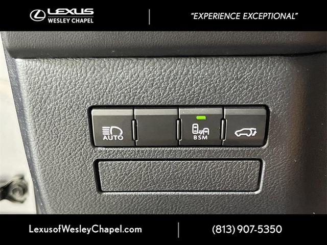 Photo of 2020 Gray Pearl Lexus NX 300
