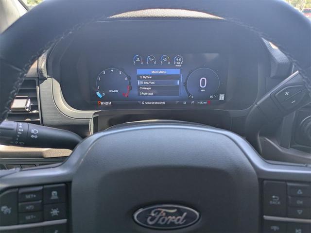 Photo of 2024 Black Ford F-150