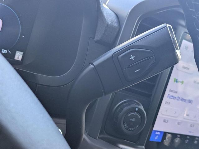 Photo of 2024 Black Ford F-150