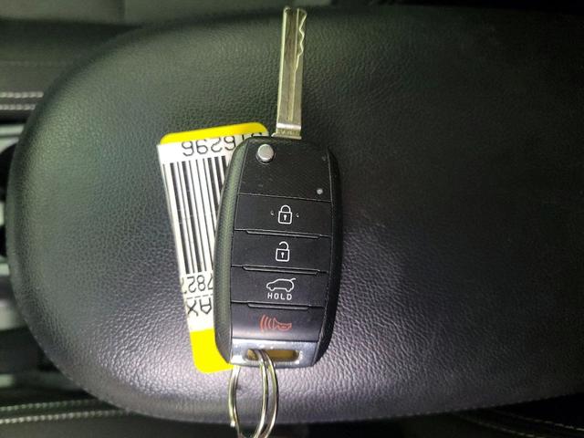 Photo of 2016 Green Kia Soul