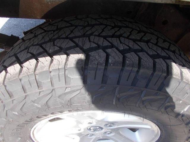 Photo of 2010 Silver Dodge Dakota