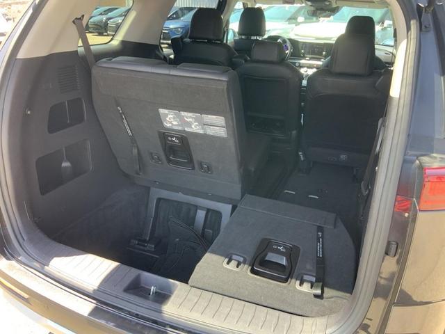 Photo of 2023 Metal Kia Carnival