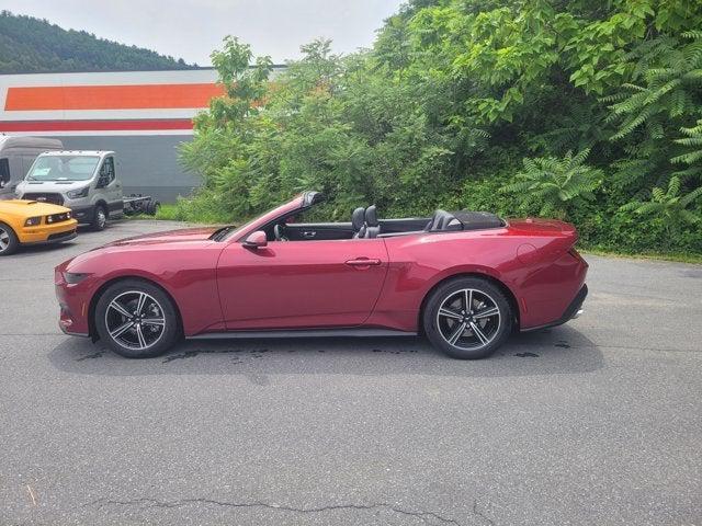 Photo of 2025 Molten Magenta Metallic Ford Mustang