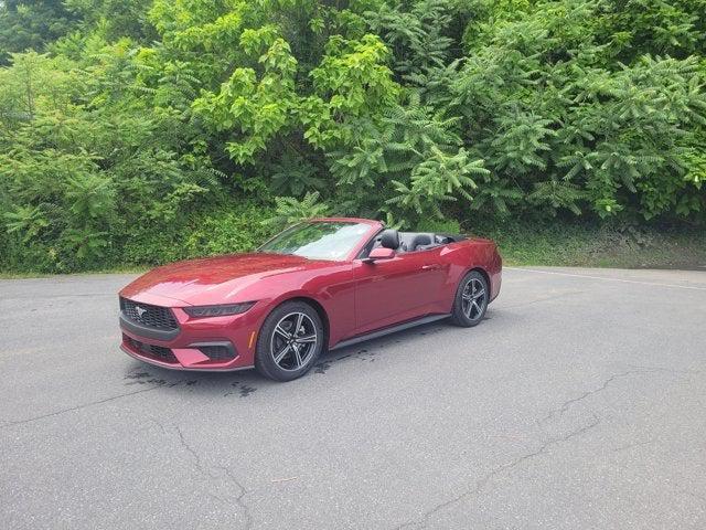Photo of 2025 Molten Magenta Metallic Ford Mustang