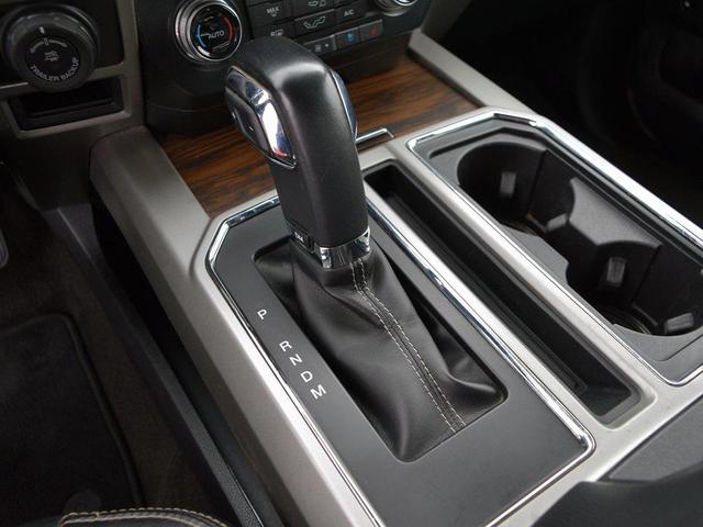 Photo of 2019 Magnetic Ford F-150